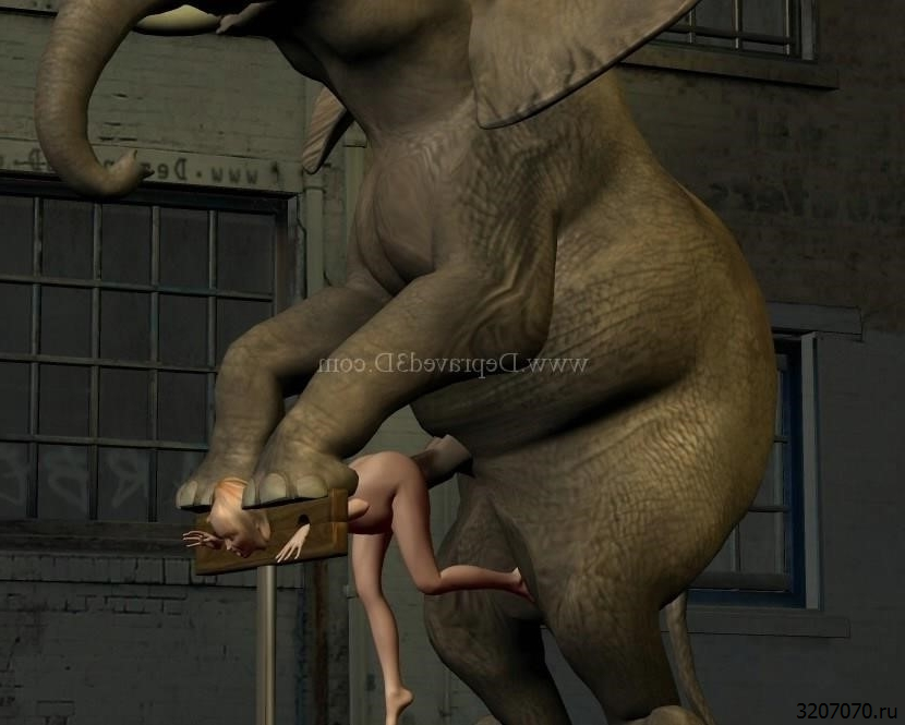 Секс Со Слоном
