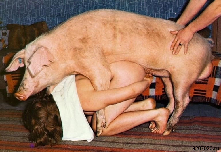 Порно со свиньями