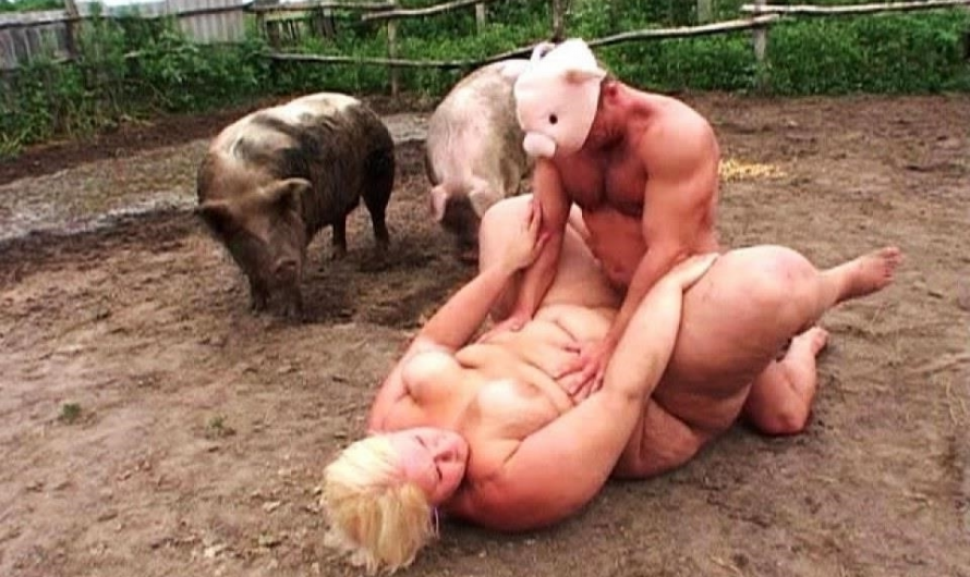 Порно Видео Секс Со Свиньей