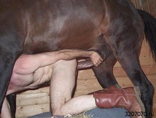 Всовывает в себя конский член Секс с конем